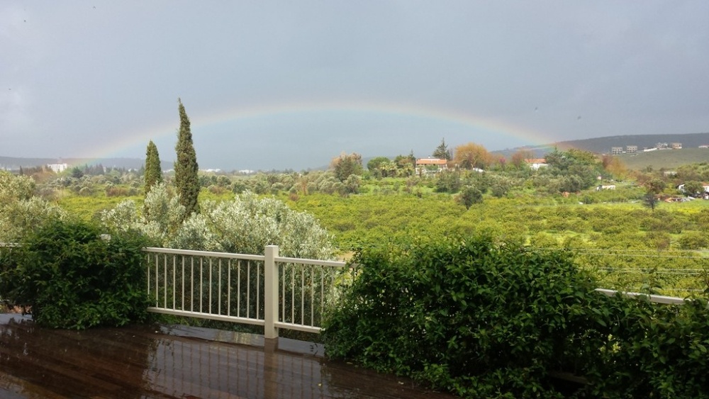 Farmhouse in Seferihisar for Sale
